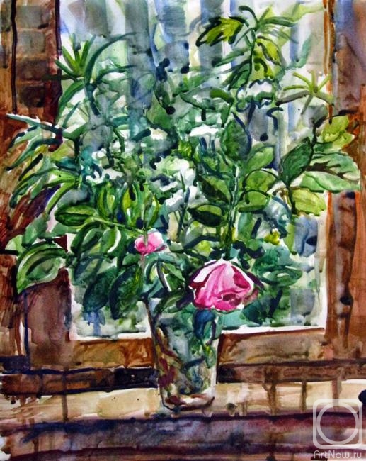 Karaceva Galina. Park rose from my garden