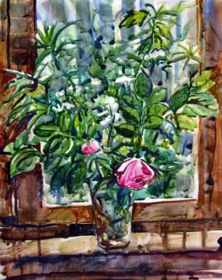 ������� ��������� ���� �� ����� ������