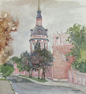 Donskoy Monastery. Chistova Olga
