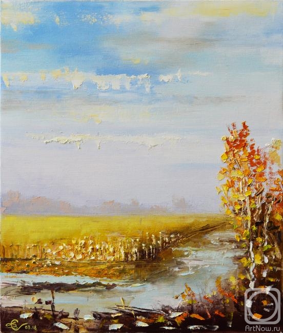 Stolyarov Vadim. Autumn puddles