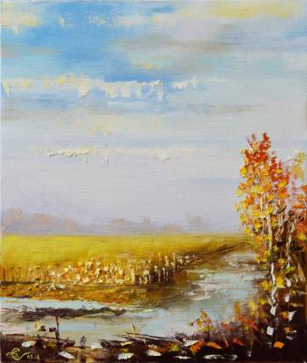 Stolyarov Vadim Anatolevech. Autumn puddles