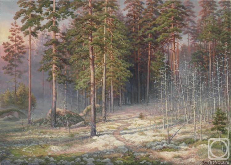 Balabushkin Sergey. In the forest of Luzhki