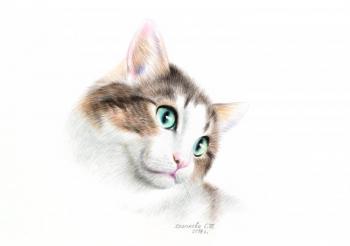 ������� ������ ����