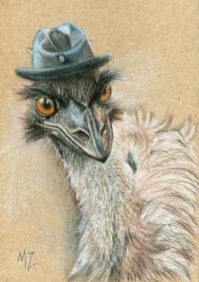 Chico (Ostrich Emus). Zozoulia Maria