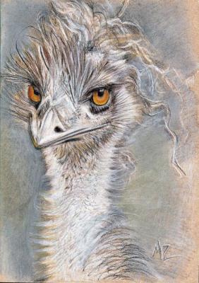 Chico 2 (Ostrich Emus). Zozoulia Maria