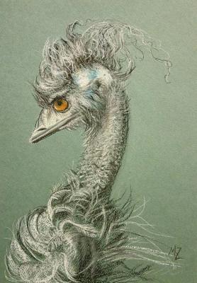 Fashionable guy (Ostrich Emus). Zozoulia Maria