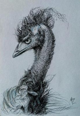 Fashionable guy (Ostrich Emu). Zozoulia Maria