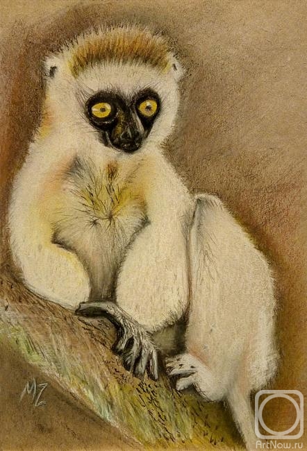 Zozoulia Maria. Lemur
