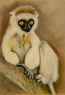 Lemur (Cute Animal). Zozoulia Maria