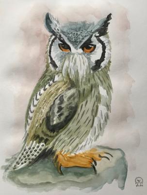 ������� �����