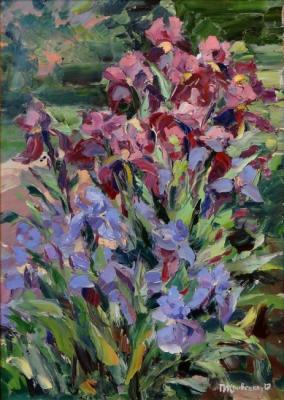Flowers of Iris (Iris In The Sun). Krivenko Peter