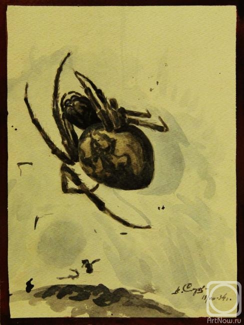 Serov Vasilyi. Spider