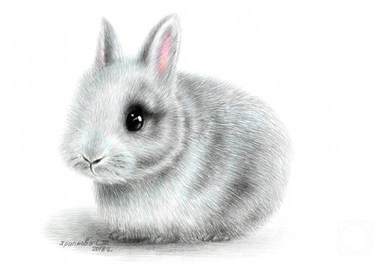 �������. �������� ��������. ������