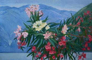 Oleanders and mountains of Montenegro