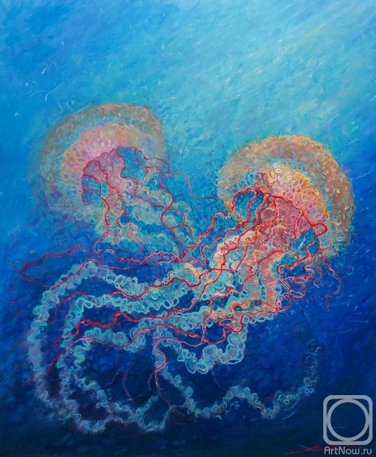 Latipov Amir. Jellyfish