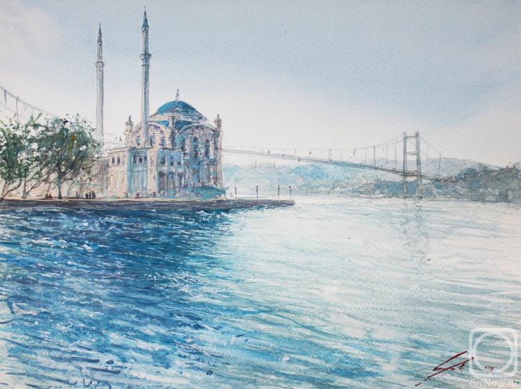 Latipov Amir. Orcatei Mosque in Turkey
