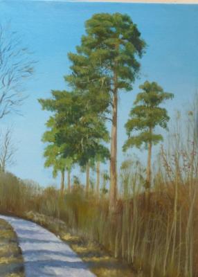 Pines by the road. Schitz Viktor