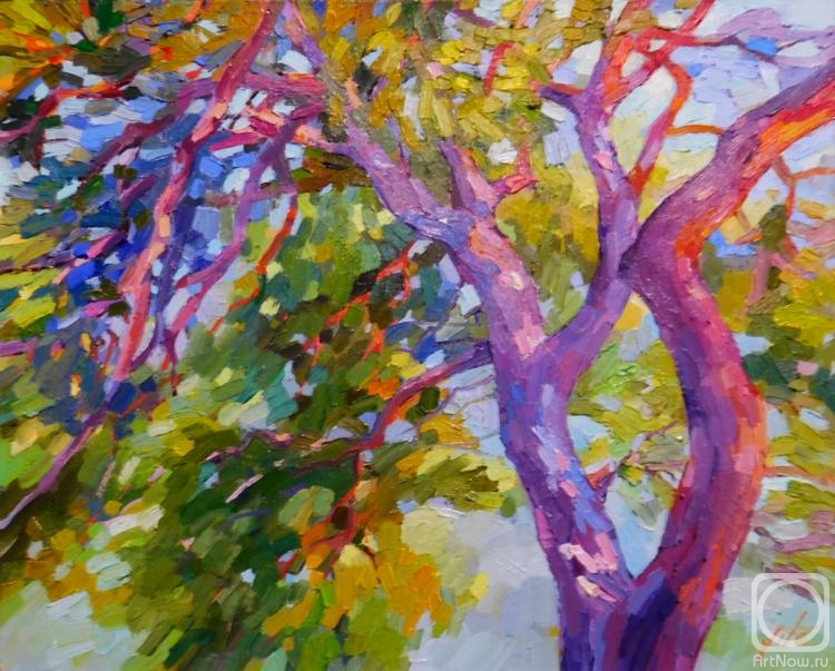 ������� ������ �� ������. ������ ��������. ����� ������ ����