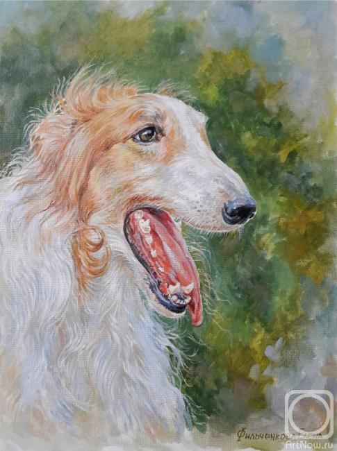 Filchenkova Elena. Portrait of a Russian Greyhound