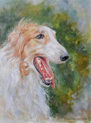 Portrait of a Russian Greyhound. Filchenkova Elena
