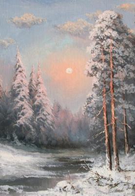Winter night in forest