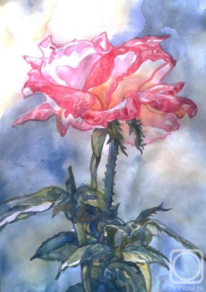 �������. ������� ������. ������