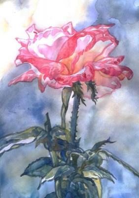 ������� �������