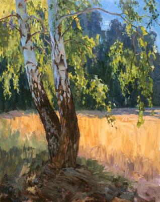 Birch in the rye. Panteleev Sergey