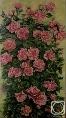 ������� �������� ����