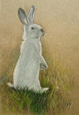 White rabbit (Green Rabbit). Zozoulia Maria