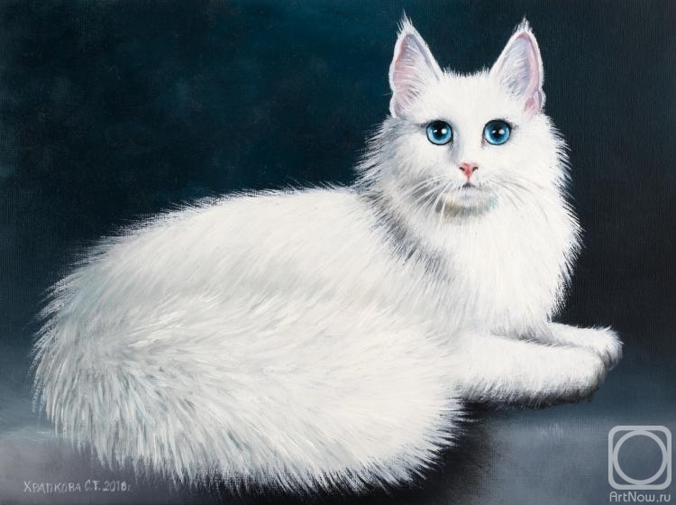 Ангорская кошка» картина Храпковой Светланы маслом на холсте — купить на  ArtNow.ru