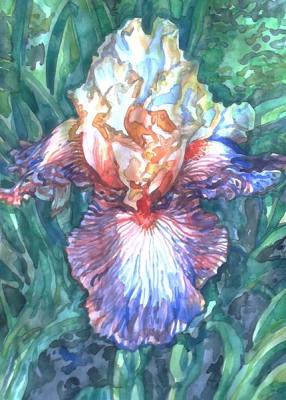 ������� �������