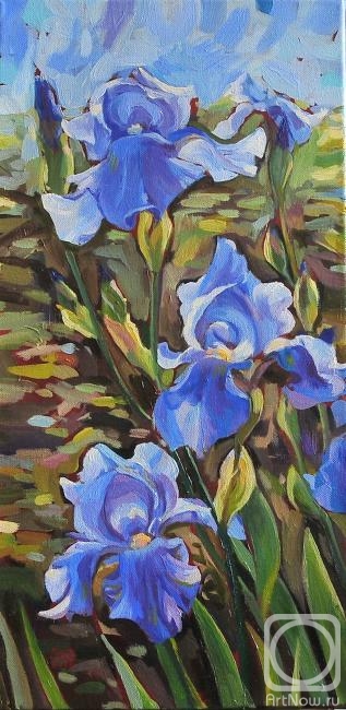 Zhukovskaya Yuliya. Three blue irises