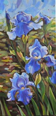 Three blue irises