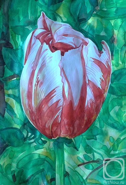 �������. ������� ������. �������