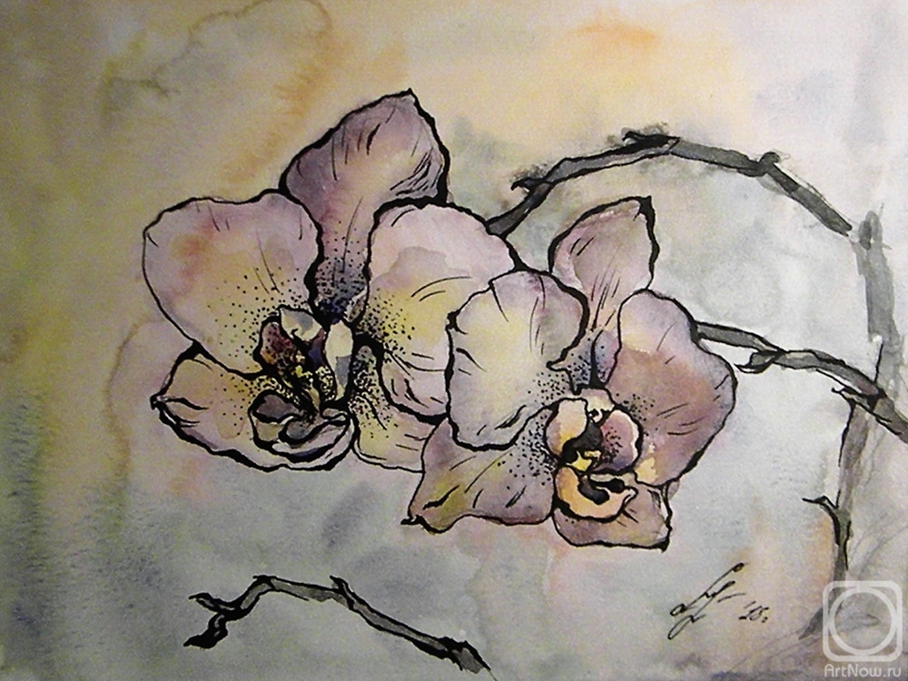 Ushakova Maria. Fading orchid