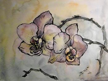 Fading orchid. Ushakova Maria