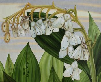 Fluttering lily of the valley (Fluttering Butterflies). Ray Liza