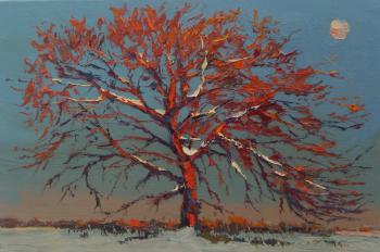 ������� ������