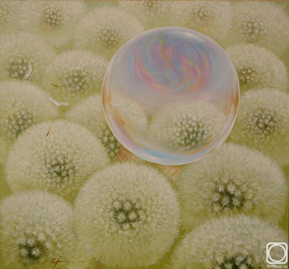 ������� ������ �� ������. �������� ����. ��������