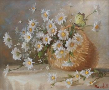 Chamomile with butterfly