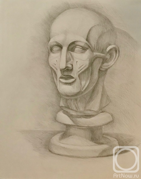 �������. �������� ������. ������. ����� ����