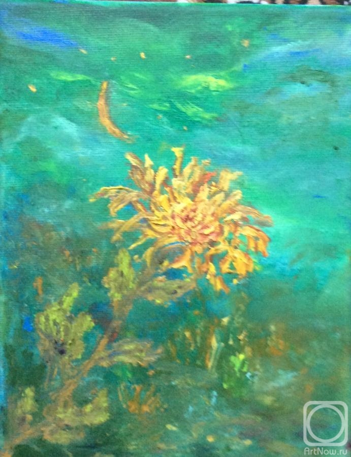 ������� ������ �� ������. ������ ����. ���� ... . ��������� ������ �������� ����������