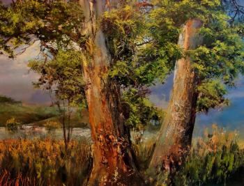 ������� ���� ������