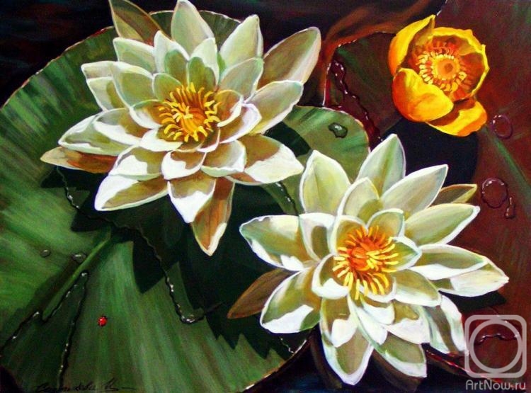 Saltykova Ireena. White lilies