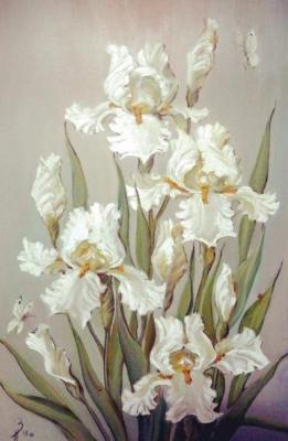 White irises. Saltykova Ireena