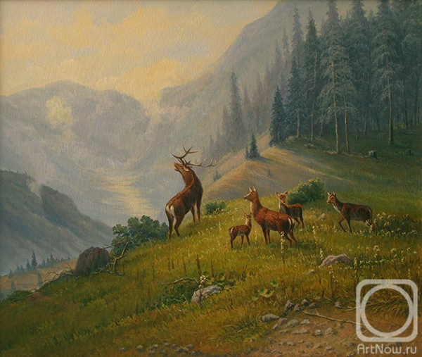 Dobrodeev Vadim. Deer in the mountains
