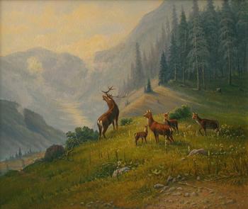 Deer in the mountains. Dobrodeev Vadim