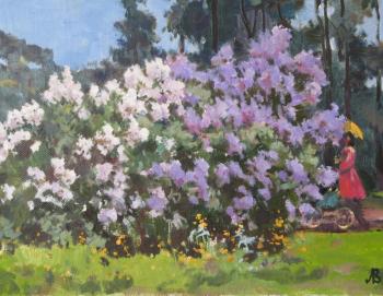 Lilac bushes. Lapovok Vladimir