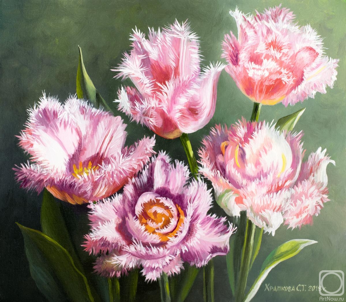 Khrapkova Svetlana. Tulips Queensland